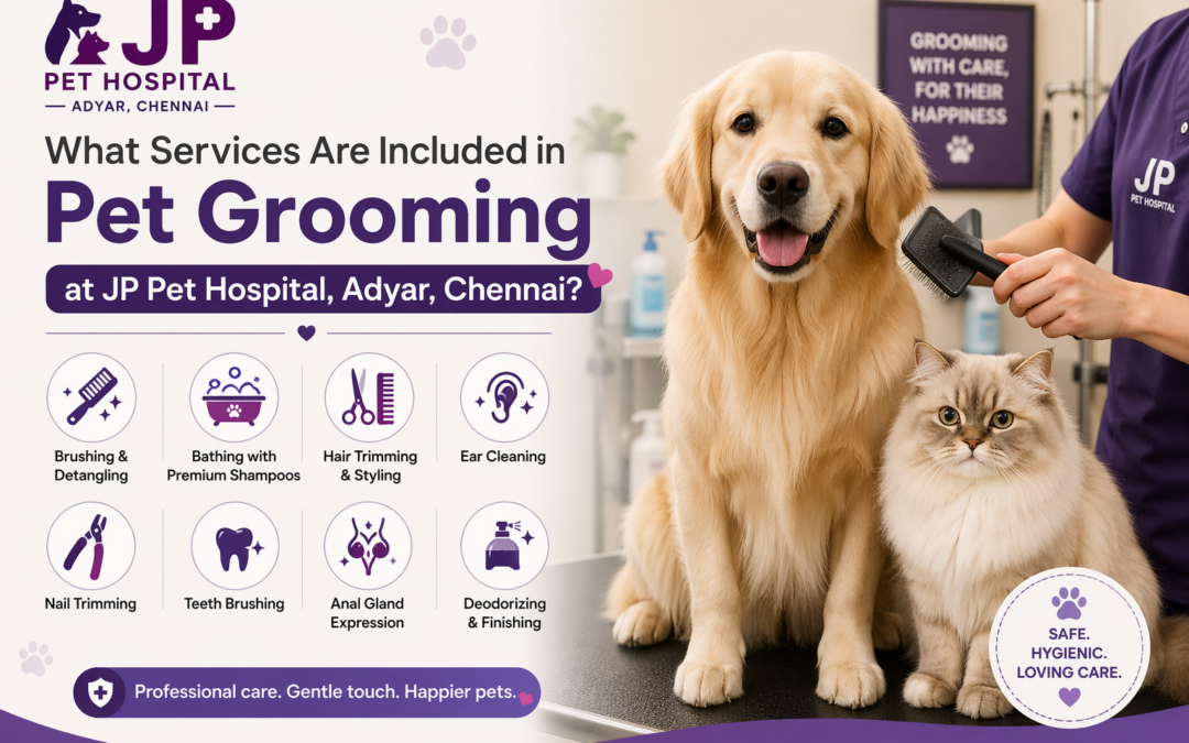What Services Are Included in Pet Grooming at JP Pet Hospital, Adyar, Chennai?